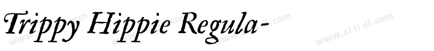 Trippy Hippie Regula字体转换
